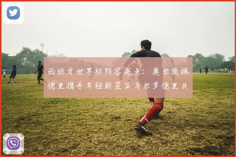 西班牙世界杯阵容亮点：奥尔莫佩德里携手年轻新星亚马尔罗德里共赴荣耀之战