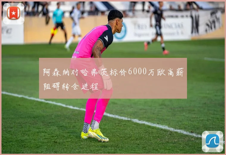 阿森纳对哈弗茨标价6000万欧高薪阻碍转会进程