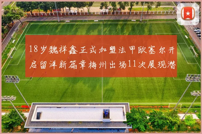 18岁魏祥鑫正式加盟法甲欧塞尔开启留洋新篇章梅州出场11次展现潜力