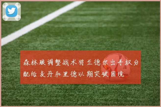 森林狼调整战术将兰德尔出手权分配给麦丹和里德以期突破困境